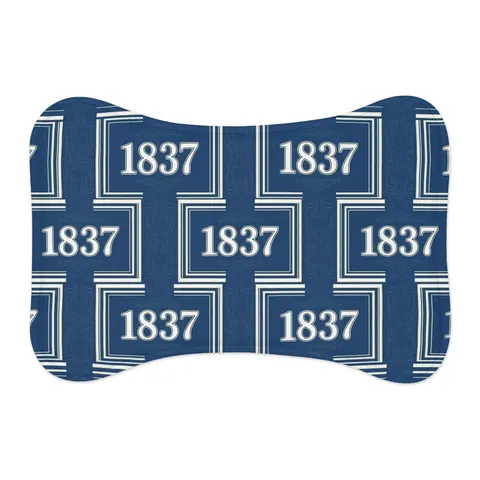Cheyney 1837 Blue & White Pet Feeding Mats — other view