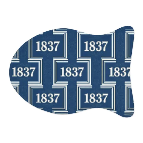 Cheyney 1837 Blue & White Pet Feeding Mats — other view