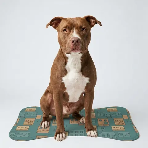 Baltimore Rowhouse Stoops Pet Feeding Mats