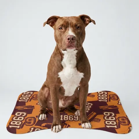 Pet Feeding Mats