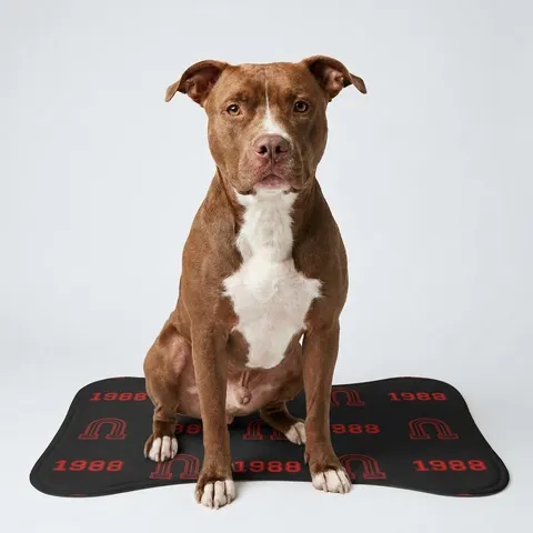 Clark Atlanta 1988 Black & Red Arch Pet Feeding Mats