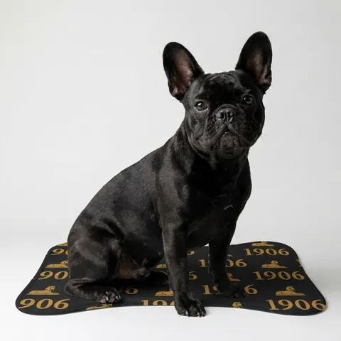 Alpha 1906 Black & Old Gold Pet Feeding Mats