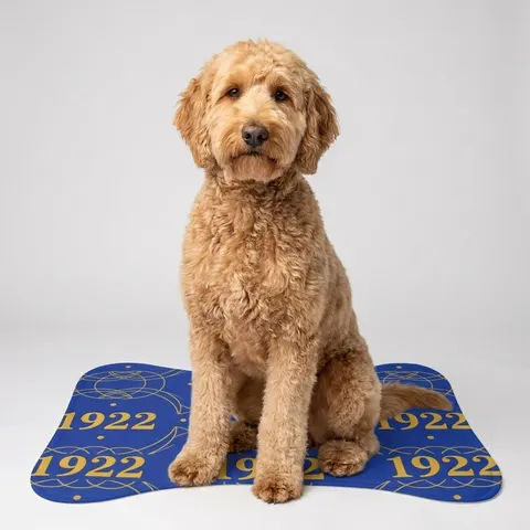 SGRho 1922 Royal Blue & Gold Pet Feeding Mats