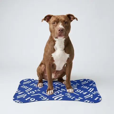 Sigma 1914 Royal Blue & White Pet Feeding Mats