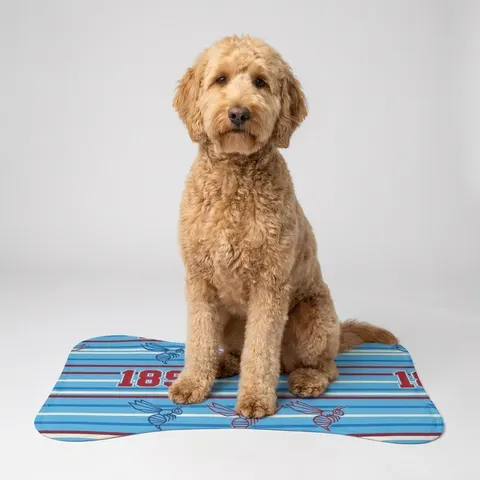 Pet Feeding Mats