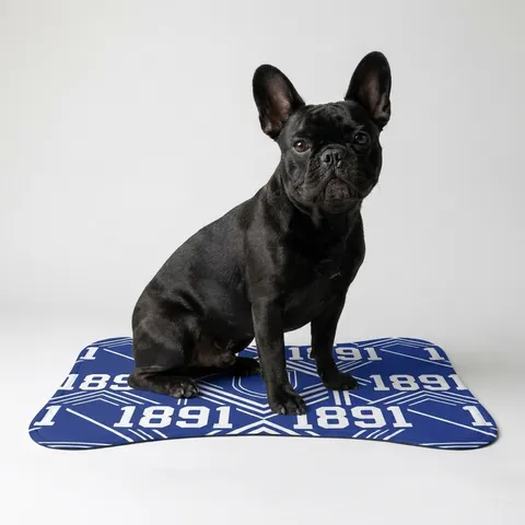 Pet Feeding Mats