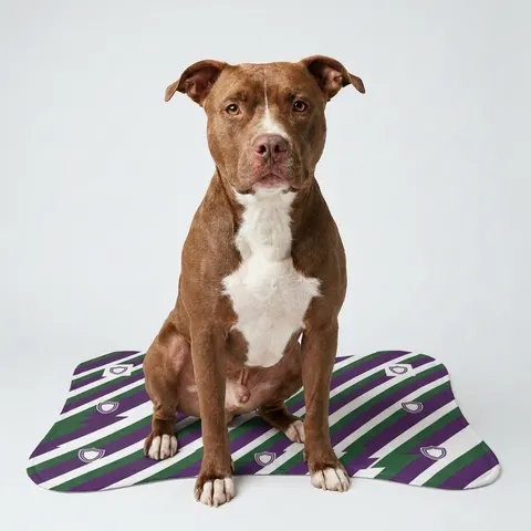 Faith Flag AME-Inspired Purple & Green Pet Feeding Mats