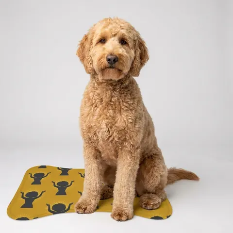 Faith Flag Black Woman in Praise Silhouette Pet Feeding Mats
