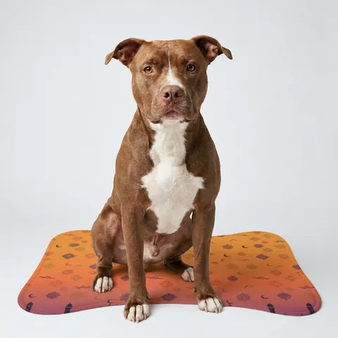 Faith Flag Mosque Sunset Silhouette Pet Feeding Mats