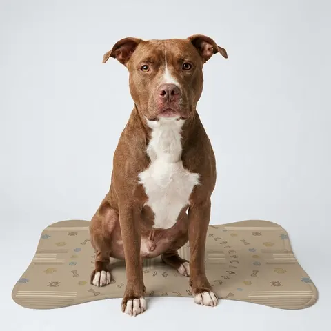 Faith Flag Multi-Faith Harmony Circle Pet Feeding Mats