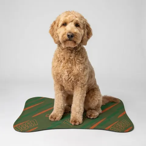 FAMU 1887 Orange & Green Energy Pet Feeding Mats
