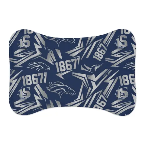 Fayetteville State 1867 Blue & Silver Pet Feeding Mats — other view