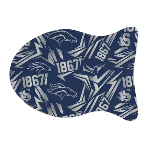 Fayetteville State 1867 Blue & Silver Pet Feeding Mats — other view