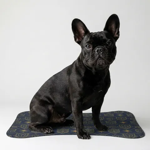 Pet Feeding Mats