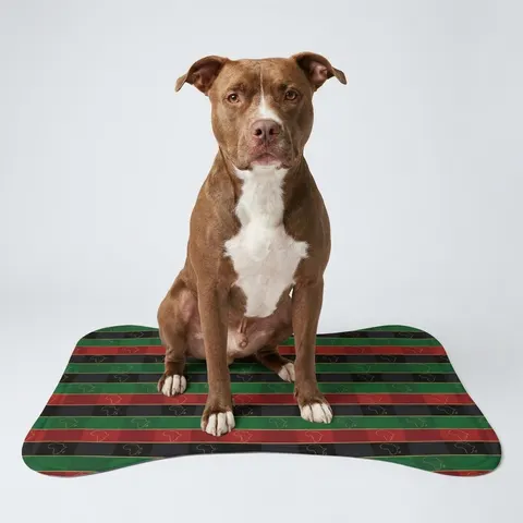 African Diaspora Continent Outline Pet Feeding Mats