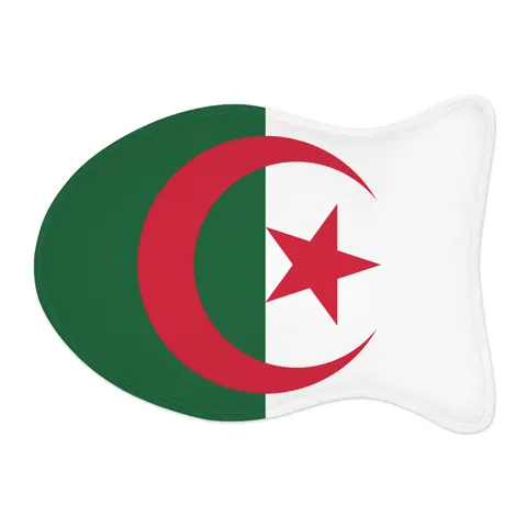 Algeria Green White Red Crescent Pet Feeding Mats — other view