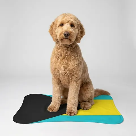Bahamas Aqua Triangle Pet Feeding Mats