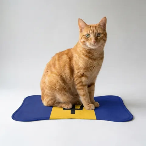 Barbados Blue Gold Trident Pet Feeding Mats