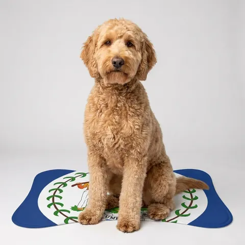 Pet Feeding Mats