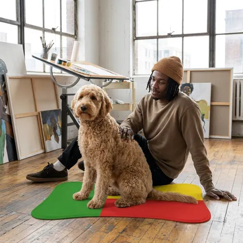 Pet Feeding Mats