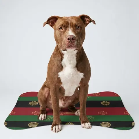 Pet Feeding Mats