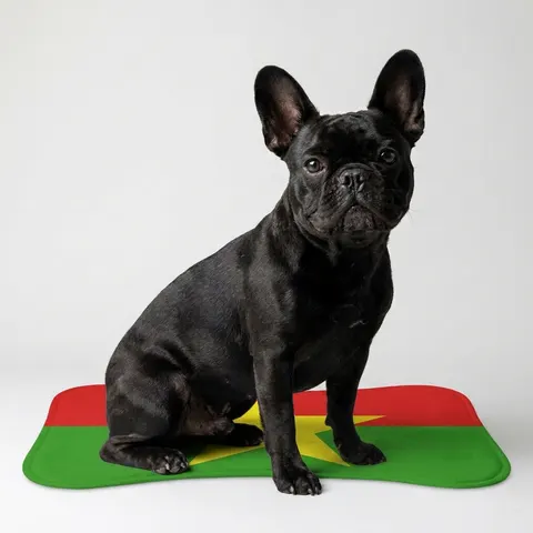 Burkina Faso Red Green Star Pet Feeding Mats
