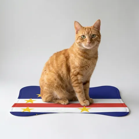 Pet Feeding Mats