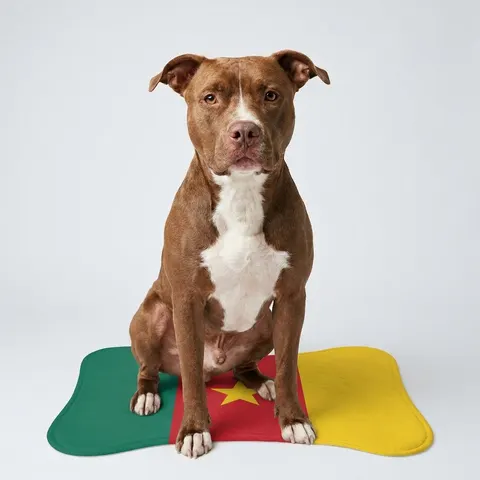 Cameroon Green Red Yellow Star Pet Feeding Mats