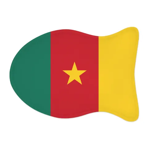 Cameroon Green Red Yellow Star Pet Feeding Mats — other view
