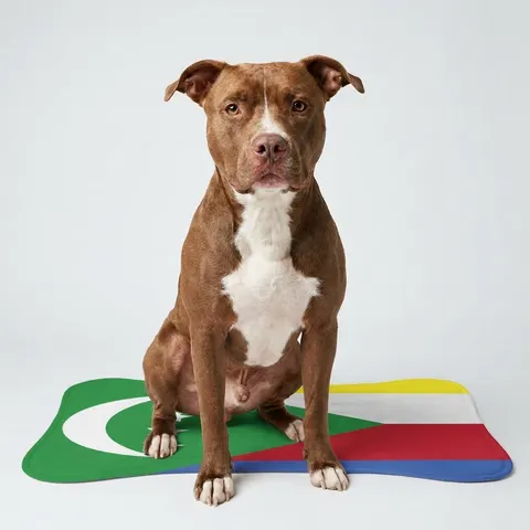 Pet Feeding Mats