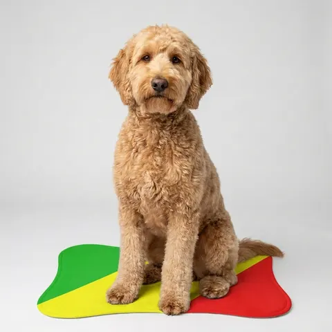 Pet Feeding Mats