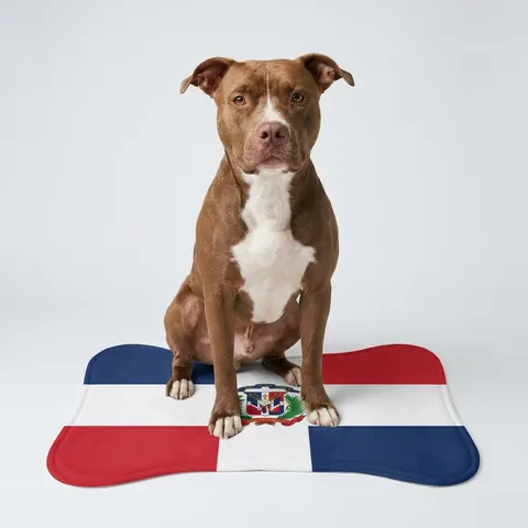 Pet Feeding Mats