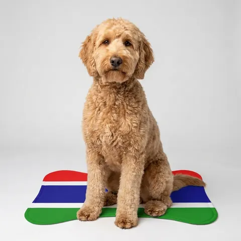 Pet Feeding Mats