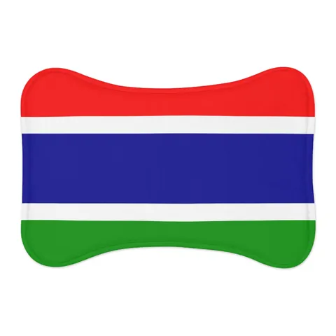 Gambia Red Blue Green Pet Feeding Mats — other view