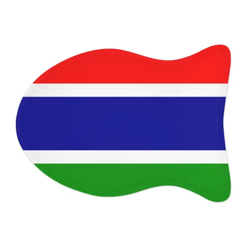 Gambia Red Blue Green Pet Feeding Mats — other view