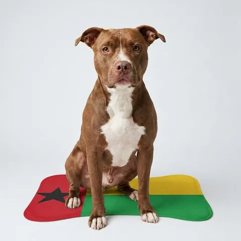 Pet Feeding Mats