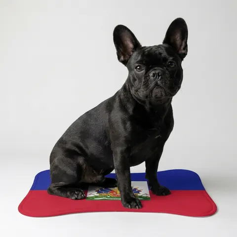 Haiti Blue Red Banner Pet Feeding Mats
