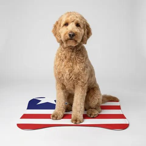 Liberia Stripes & Single Star Pet Feeding Mats