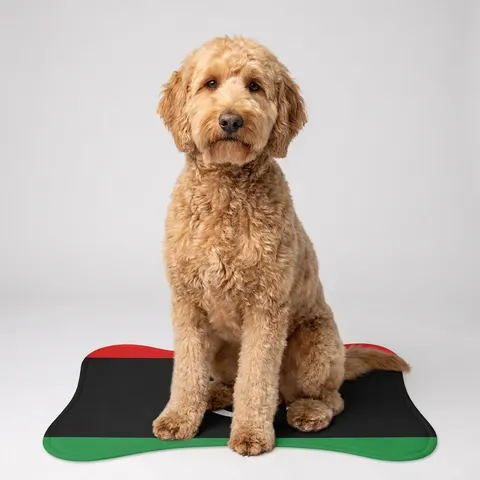 Pet Feeding Mats