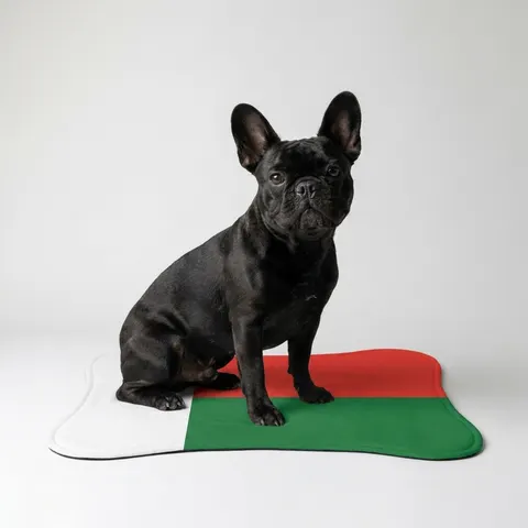 Pet Feeding Mats