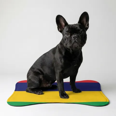 Pet Feeding Mats