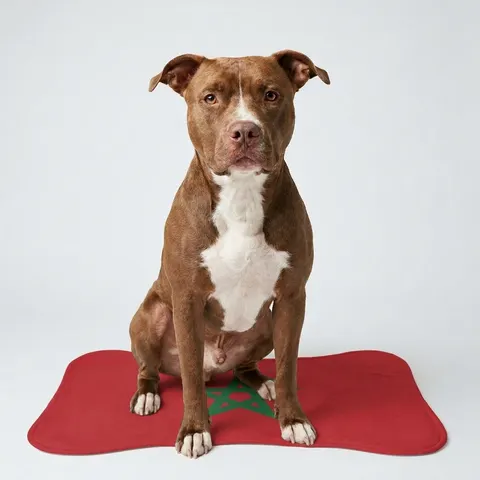 Pet Feeding Mats