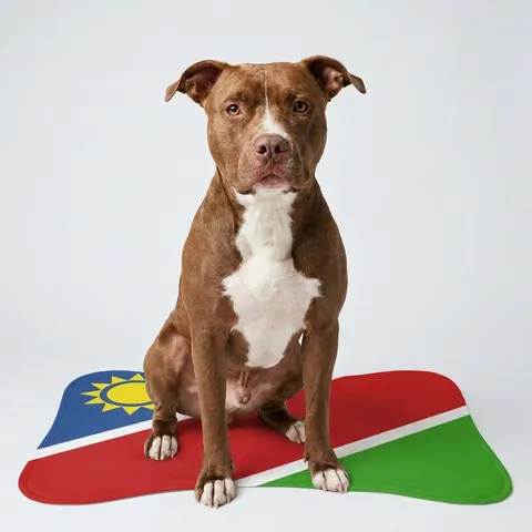 Namibia Diagonal Blue Red Green Pet Feeding Mats
