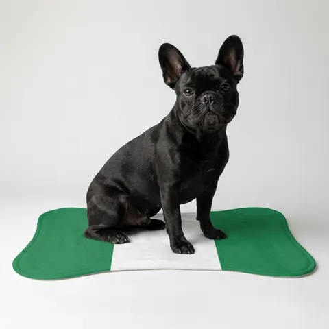 Nigeria Green & White Stripes Pet Feeding Mats