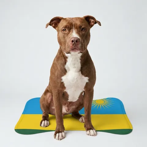 Rwanda Sky Blue & Sun Pet Feeding Mats