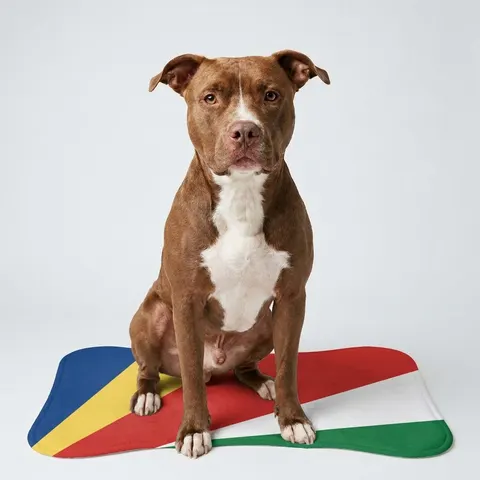 Pet Feeding Mats