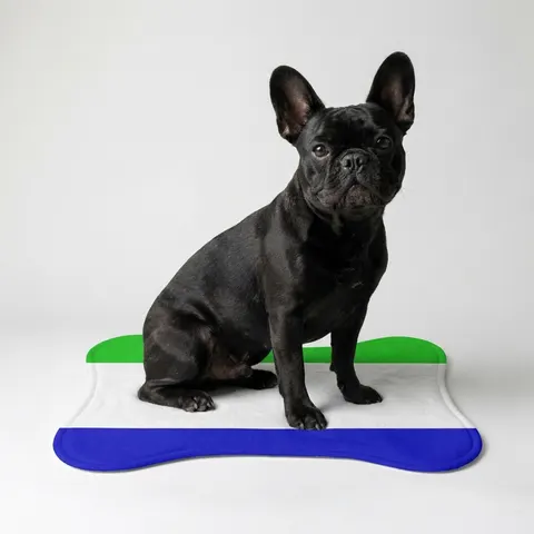 Sierra Leone Green White Blue Pet Feeding Mats