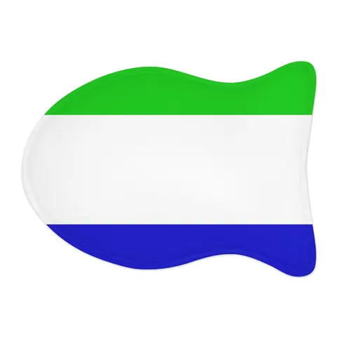 Sierra Leone Green White Blue Pet Feeding Mats — other view