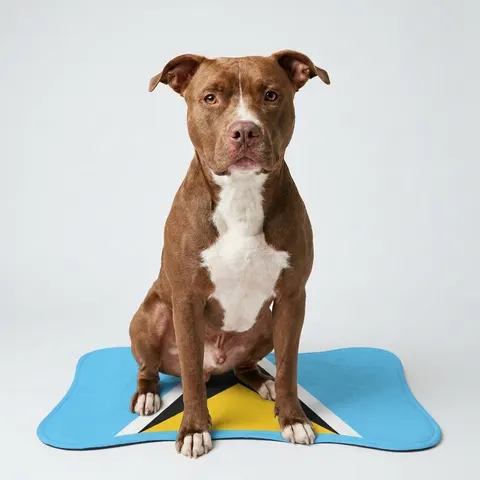 Pet Feeding Mats