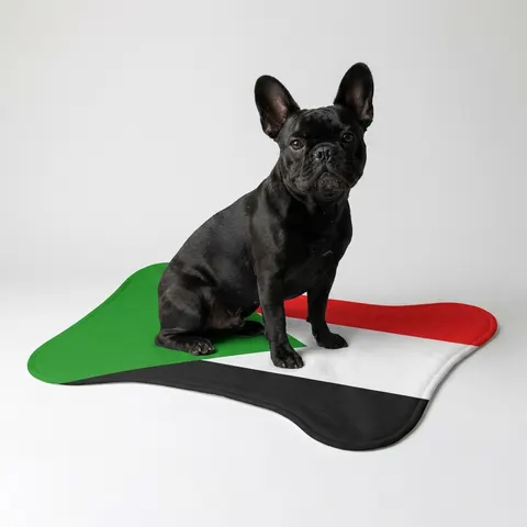 Pet Feeding Mats
